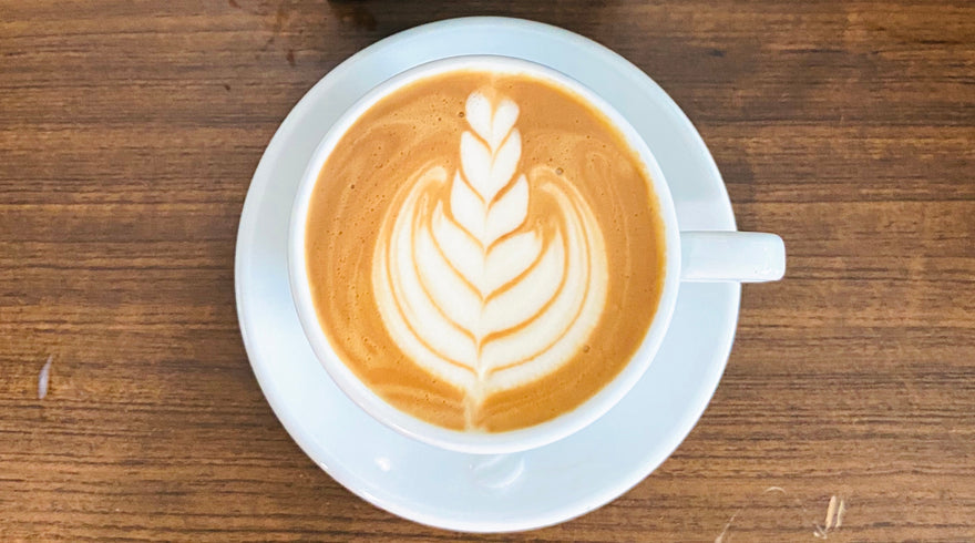 Sneak peak into the Everyday Vegan Café: Introducing our new Café Partners