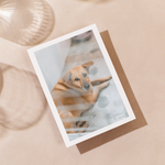 Delon Photography - Printed Message Cards
