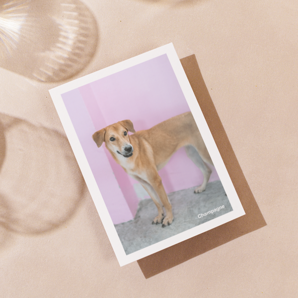 Delon Photography - Printed Message Cards
