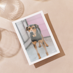 Delon Photography - Printed Message Cards