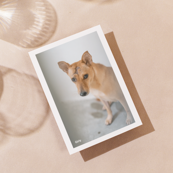 Delon Photography - Printed Message Cards