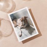 Delon Photography - Printed Message Cards