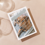 Delon Photography - Printed Message Cards