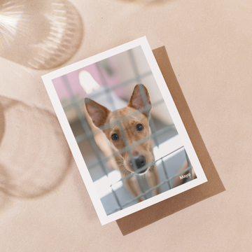Delon Photography - Printed Message Cards