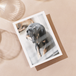 Delon Photography - Printed Message Cards