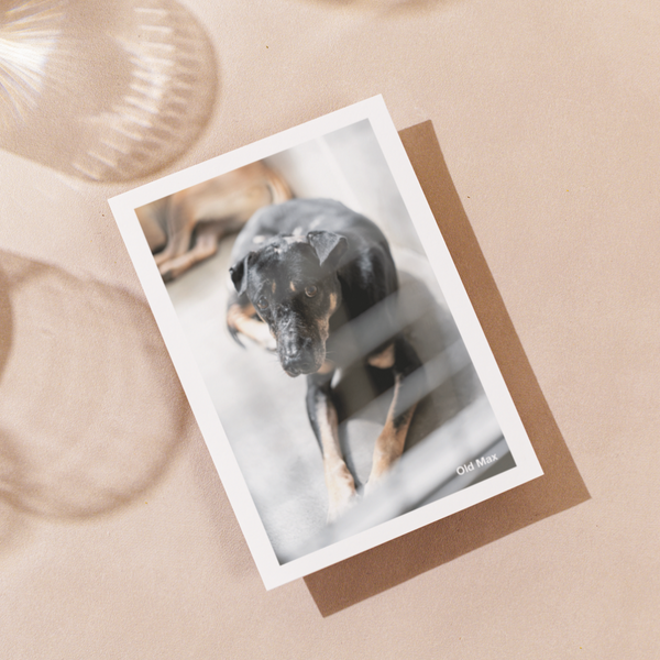 Delon Photography - Printed Message Cards