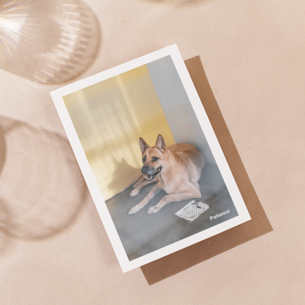 Delon Photography - Printed Message Cards
