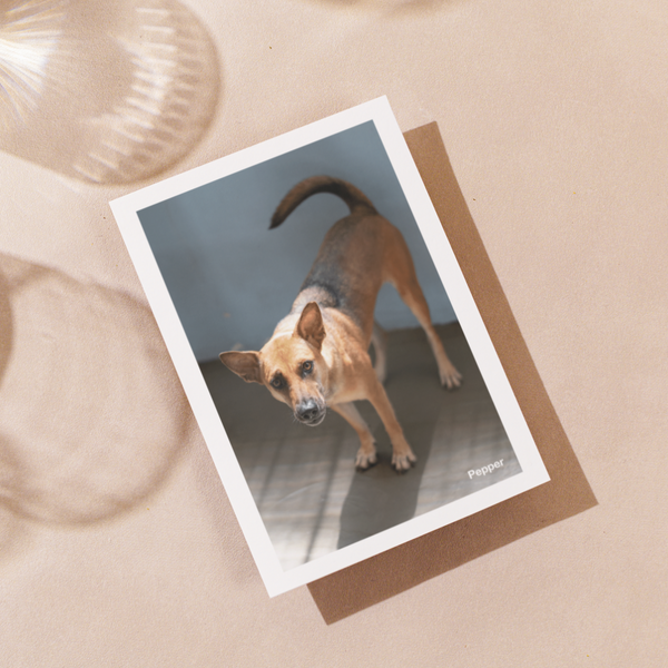 Delon Photography - Printed Message Cards