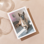 Delon Photography - Printed Message Cards