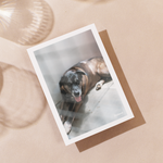 Delon Photography - Printed Message Cards