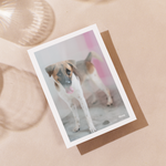 Delon Photography - Printed Message Cards
