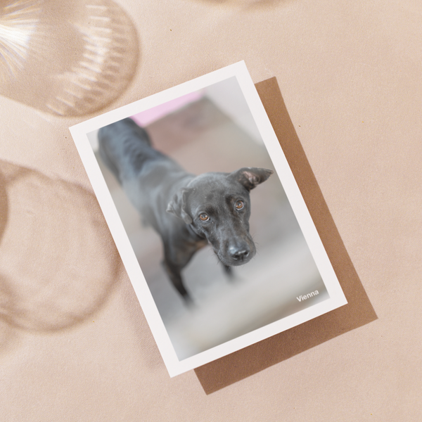 Delon Photography - Printed Message Cards