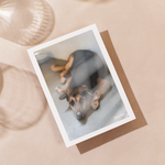 Delon Photography - Printed Message Cards