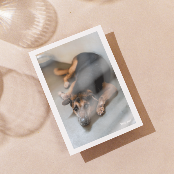 Delon Photography - Printed Message Cards