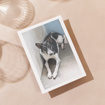 Delon Photography - Printed Message Cards
