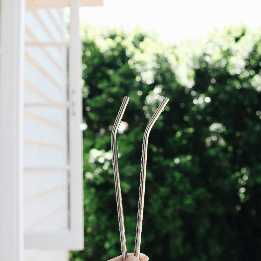 The Sustainability Project - Stainless Steel Straw - Everyday Vegan Grocer