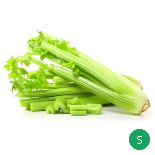Organic Produce - Celery Small (250-500g) - Everyday Vegan Grocer