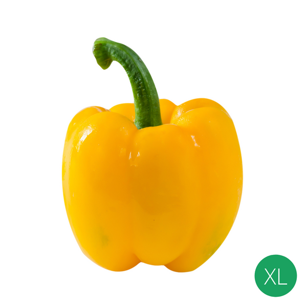 Organic Produce - Yellow Capsicum Extra Large (250-300g) - Everyday Vegan Grocer