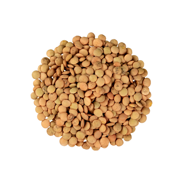 Scoop Station - Organic Austrian Plate Lentils, 100g - Everyday Vegan Grocer