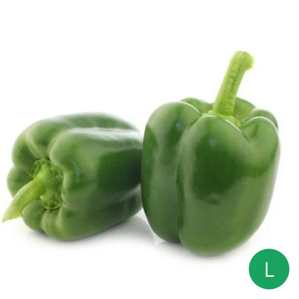 Organic Produce - Green Capsicum Large (200-250g) - Everyday Vegan Grocer
