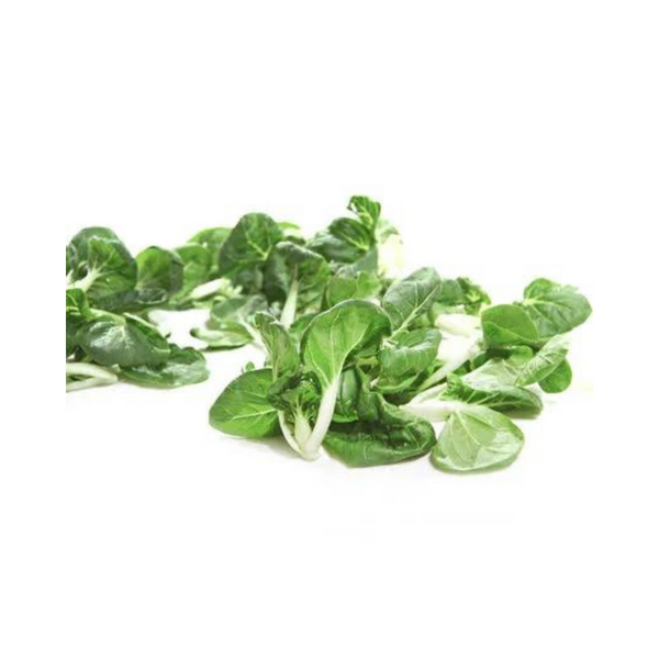 Organic Produce - Nai Bai (180-200g) - Everyday Vegan Grocer
