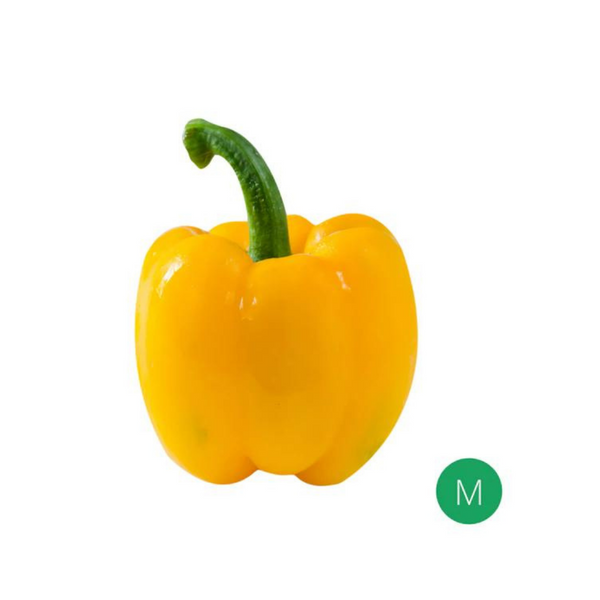 Organic Produce - Yellow Capsicum Medium (150-200g) - Everyday Vegan Grocer
