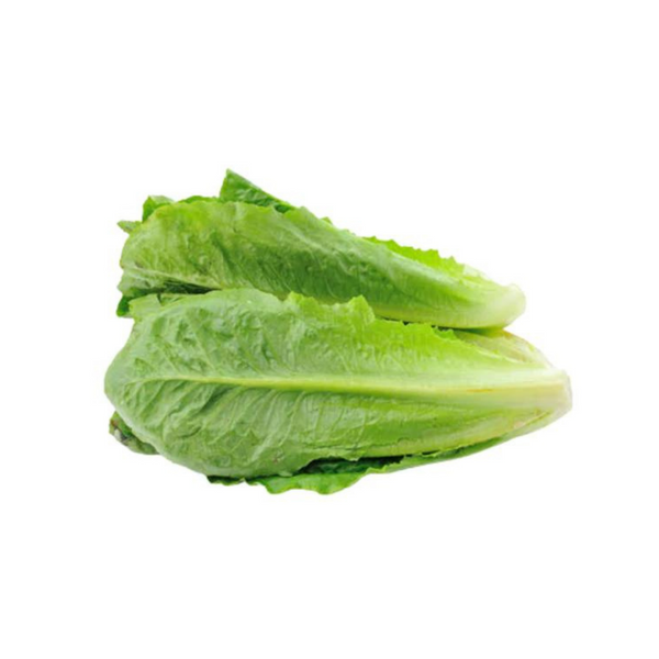 Organic Produce - Romaine Lettuce (300-400g) - Everyday Vegan Grocer