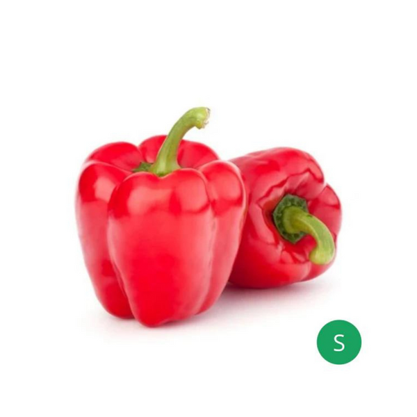 Organic Produce - Red Capsicum Small (100-150g) - Everyday Vegan Grocer