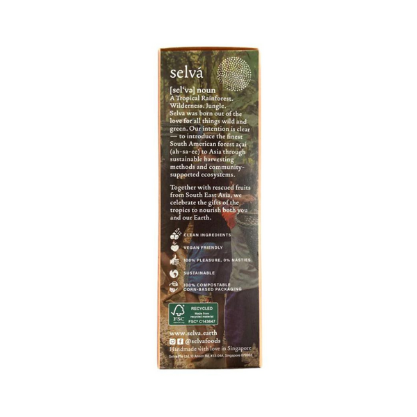 Selva Pops - Coco Cacao (Box of 3) - Everyday Vegan Grocer