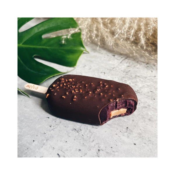 Selva Pops - Acai Peanut Butter - Everyday Vegan Grocer