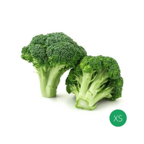Organic Produce - Broccoli Extra Small (150-250g) - Everyday Vegan Grocer