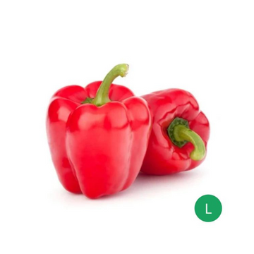 Organic Produce - Red Capsicum Large (200-250g)