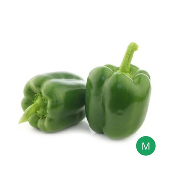 Organic Produce - Green Capsicum Medium (150-200g)