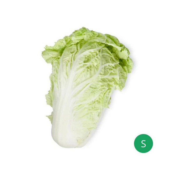 Organic Produce - Long Cabbage Small (300-500g) - Everyday Vegan Grocer