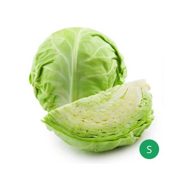 Organic Produce - Cabbage Small (400 - 600g)