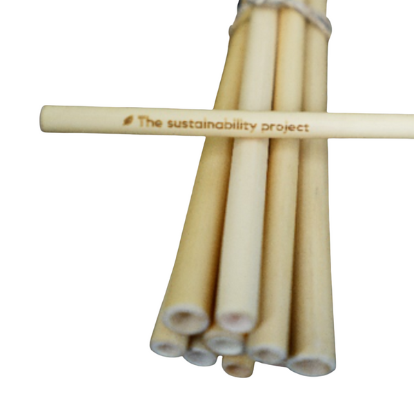 The Sustainability Project - Bamboo Straw - Everyday Vegan Grocer
